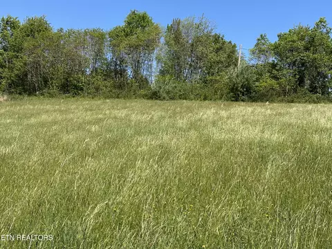 933 Frog Level Rd, Harrogate, TN 37752 photo 8