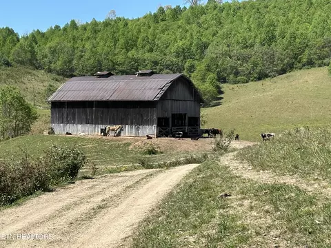 933 Frog Level Rd, Harrogate, TN 37752 photo 17