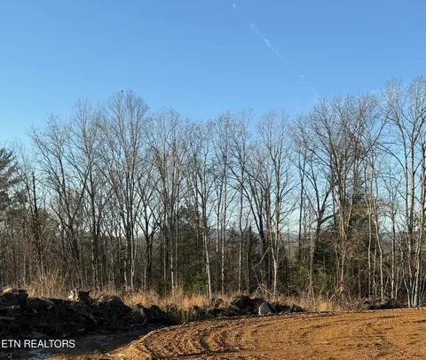 Possum Trot Rd. - Tract 14, Grandview, TN 37337