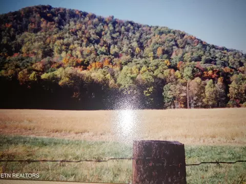 Mill Creek Rd, Sunbright, TN 37872