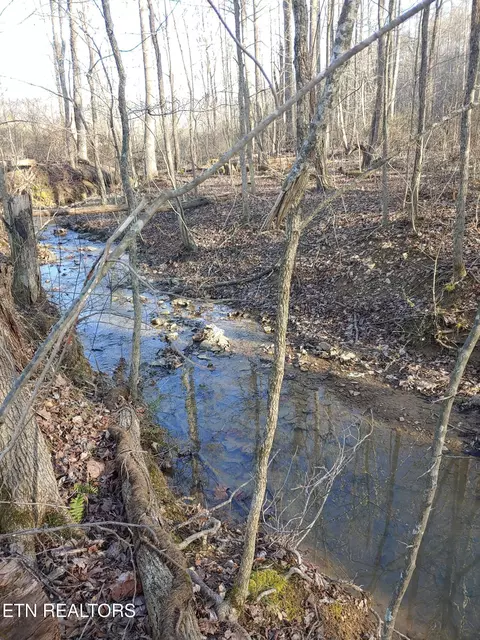 Mill Creek Rd, Sunbright, TN 37872