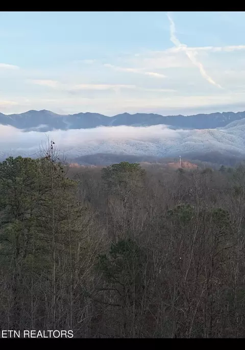 lot1 Vista Dr, Gatlinburg, TN 37738