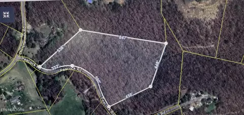 Peacock Lane, Deer Lodge, TN 37726