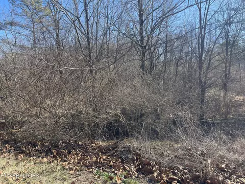 Livesay St, Crossville, TN 38555