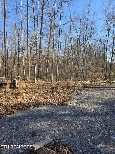 1434 Catoosa Rd, Wartburg, TN 37887