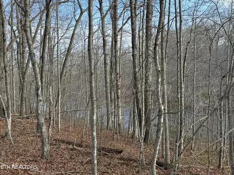 Crystal Point, Monterey, TN 38574