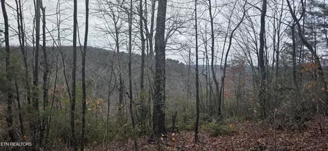 786 Eastridge Pass, Monterey, TN 38574