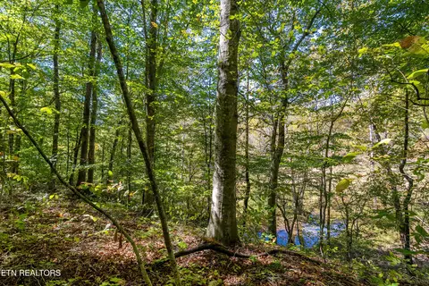 3717 Hickory Valley Rd, Maynardville, TN 37807 photo 39