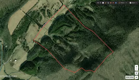 931 Tarpine Valley Rd, Rogersville, TN 37857