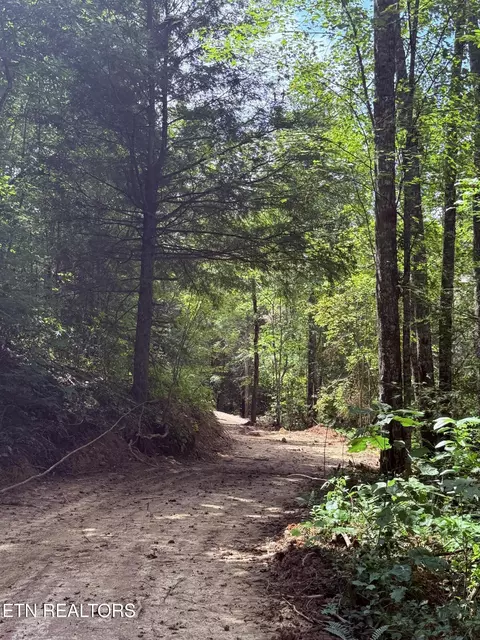 1055 Big Four Rd, La Follette, TN 37766