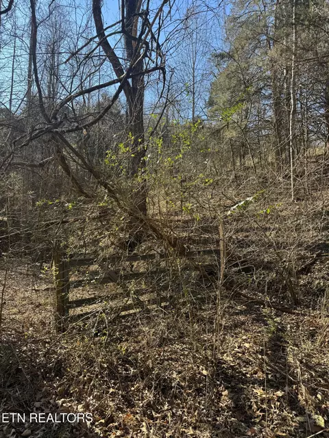 Molly Hollow Rd, New Tazewell, TN 37825