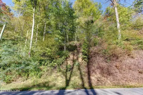947 Powdermill Rd, Gatlinburg, TN 37738