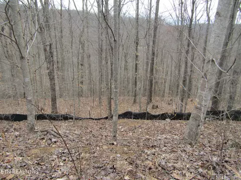 lot60 W Bobcat Ln, Wilder, TN 38589