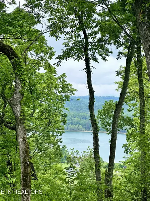 lot731 Russell Brothers Rd, Sharps Chapel, TN 37866