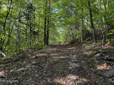 Baltimore Rd, Washburn, TN 37888
