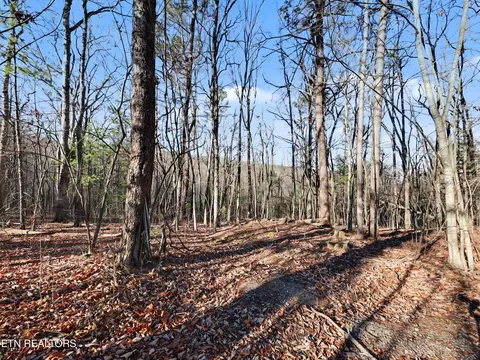 Avens Lane, Tallassee, TN 37878