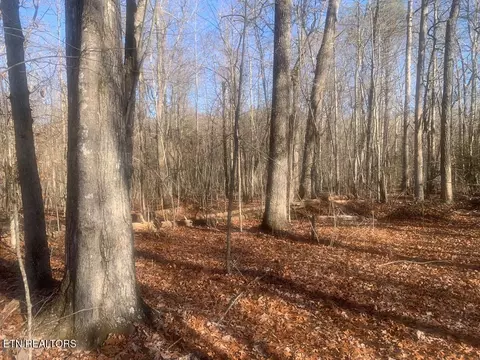 lot14 Honeysuckle Rd, Pikeville, TN 37367