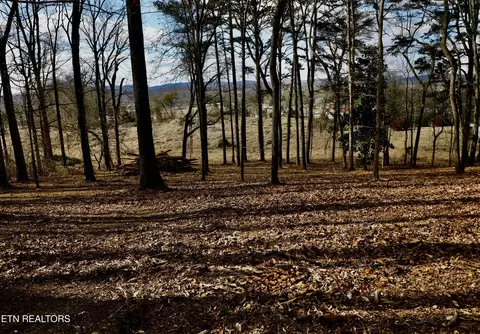 E Crestview Drive Lot 1, Madisonville, TN 37354
