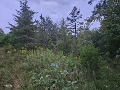 00 Sandy Rd No Rd, Wilder, TN 38589