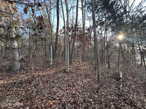 5 Acres N White Pine Rd, Talbott, TN 37877 photo 3