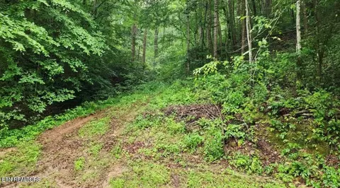 4473 Chavis Rd, Cosby, TN 37722