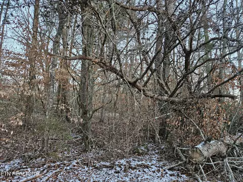Pollard Cemetery Rd, Walling, TN 38587 photo 5