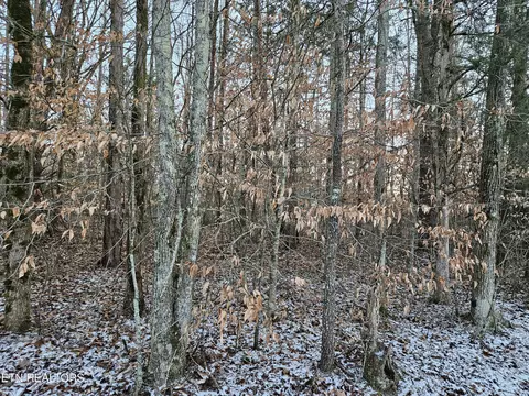 Pollard Cemetery Rd, Walling, TN 38587 photo 4