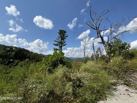 3217 Emerald Springs Loop, Sevierville, TN 37862