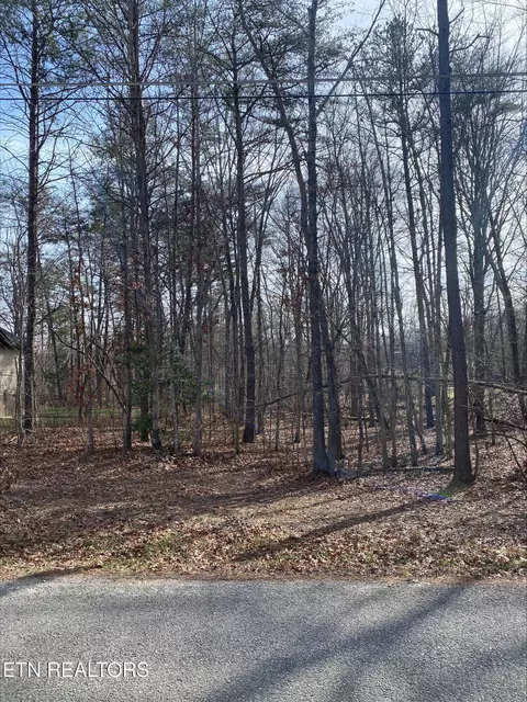 231 Thrushwood Dr, Fairfield Glade, TN 38558