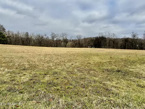 375 S White Pine Rd, White Pine, TN 37890