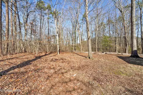 Charles Young Rd, Walland, TN 37886