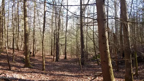 Bearpen Fork, Jamestown, TN 38556