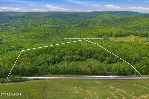 3835 Millstone Mountain Rd, Rockwood, TN 37854