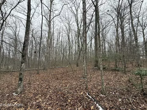 White Oak Rd, Monterey, TN 38574