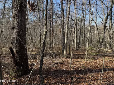 Cowpens Drive, Monterey, TN 38574