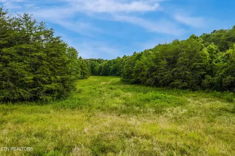 alex bales rd, Kodak, TN 37764