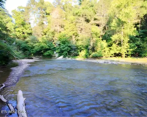 217 Saw Mill Ln, Duff, TN 37729