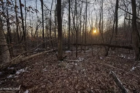 Hayes Lane E Of, La Follette, TN 37766