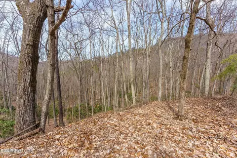 Low Sunset Drive, Sevierville, TN 37876