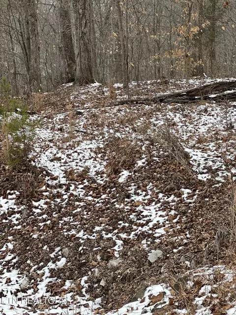 lot S 12 13 Sams Mountain Rd, Middlesboro, KY 40965