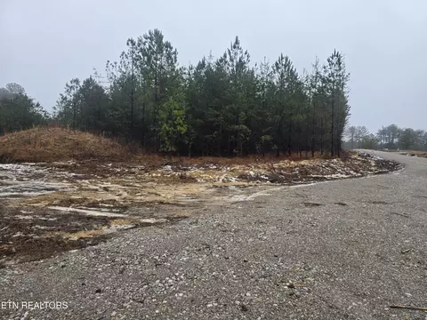 lot12 Stirrup Ln, Jamestown, TN 38556