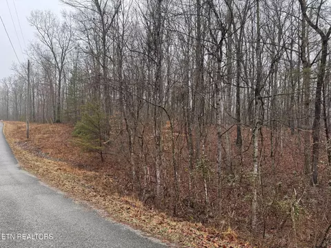 Arbutus Trail, Helenwood, TN 37755