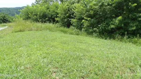lot17 D Crappie Ln, Hilham, TN 38568
