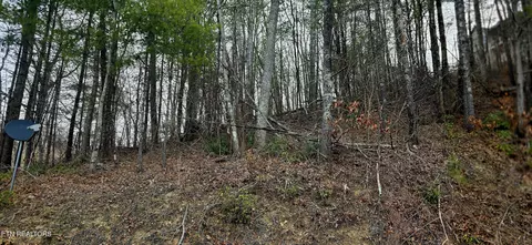 Undisclosed, Sevierville, TN 37862