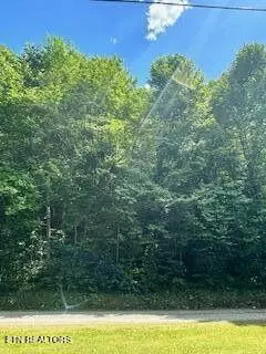 Lakeview Drive, Sevierville, TN 37876