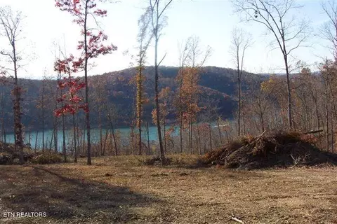Whitetail Lane, La Follette, TN 37766
