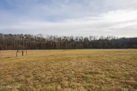 0 Cherry St, Rutledge, TN 37861 photo 20