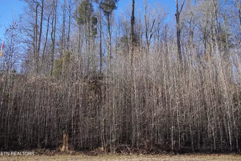 E Shore Drive, Rockwood, TN 37854