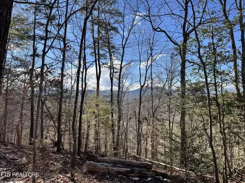 Deerfoot Rd, Cosby, TN 37722