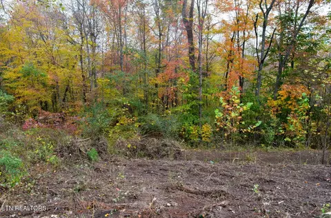 Whitman Hollow Rd, La Follette, TN 37766